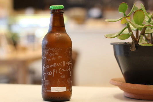 Kombucha- A Befitting Detour from Regular Soft Drinks